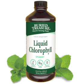 Liquid Chlorophyll 100 mg Chlorophyll Energy Support & Detox - 16 servings