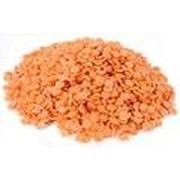 OG2 RED LENTILS (25 X 25 LB)