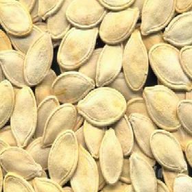 Seeds Pumpkin Seed,Chinese (1x27.5LB )