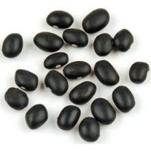 Black Beans (1x25LB)