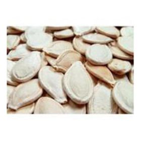 Seeds Pumpkin Seeds, Usa (1x27.5LB )