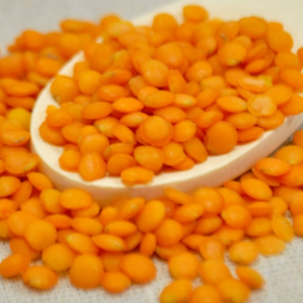 OG1 RED LENTILS (25 X 25 LB)