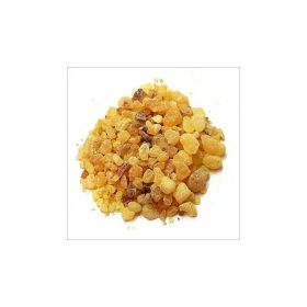 Frankincense (Omani) (size: 16 ounces)